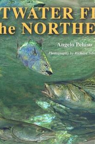 Cover of Saltwater Flies of the Northeast