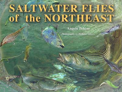 Book cover for Saltwater Flies of the Northeast