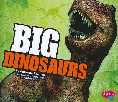 Book cover for Big Dinosaurs