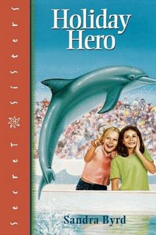 Cover of Holiday Hero