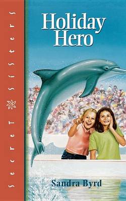 Book cover for Holiday Hero