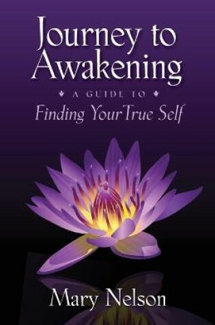 Cover of Journey to Awakening