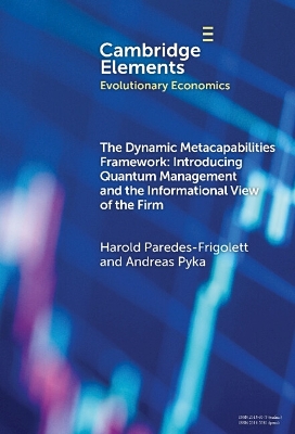 Cover of The Dynamic Metacapabilities Framework