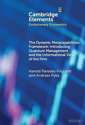 Book cover for The Dynamic Metacapabilities Framework