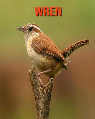 Book cover for Wren