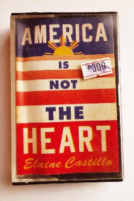 Book cover for America Is Not the Heart