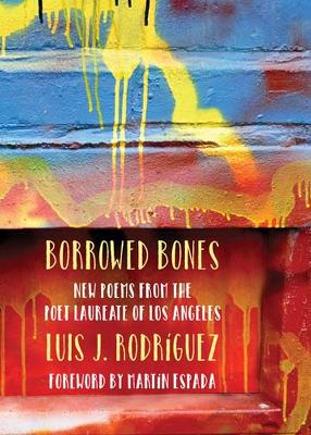 Book cover for Borrowed Bones