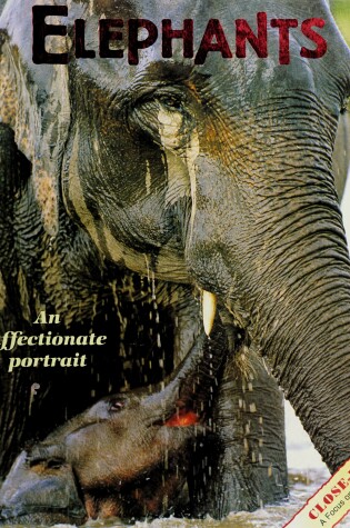 Cover of Elephants