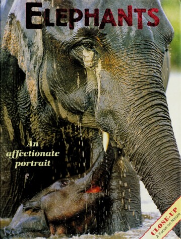 Cover of Elephants