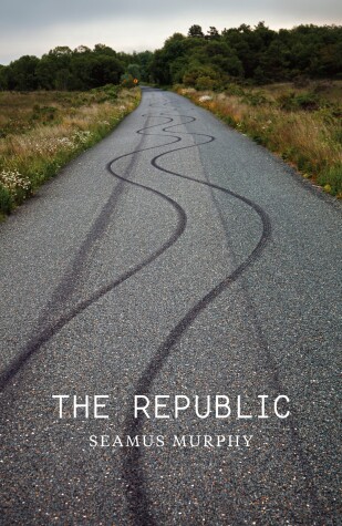 Book cover for The Republic