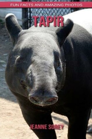 Cover of Tapir