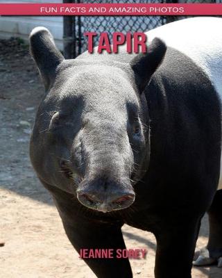 Book cover for Tapir