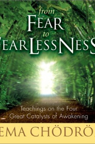 Cover of From Fear to Fearlessness