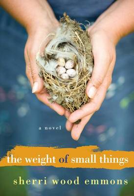 Book cover for Weight of Small Things