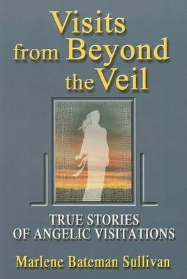 Book cover for Visits from Beyond the Veil