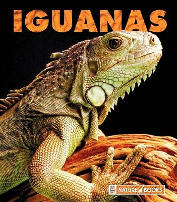 Book cover for Iguanas