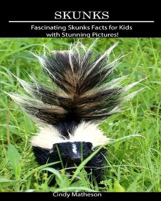 Book cover for Skunks