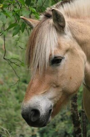 Cover of Norwegian Fjord Horse, for the Love of Horses