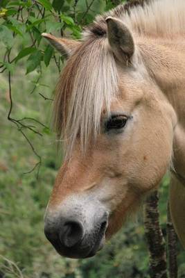 Book cover for Norwegian Fjord Horse, for the Love of Horses