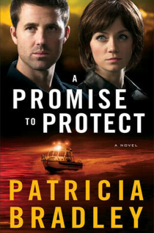 Cover of A Promise to Protect