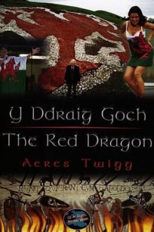 Cover of Cyfres Cip ar Gymru / Wonder Wales: Ddraig Goch, Y / The Red Dragon