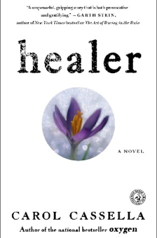 Cover of Healer