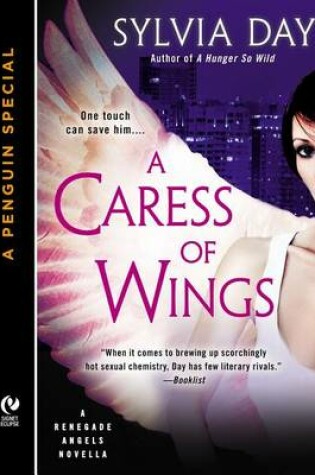 Cover of A Caress of Wings