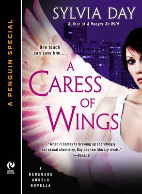 Book cover for A Caress of Wings