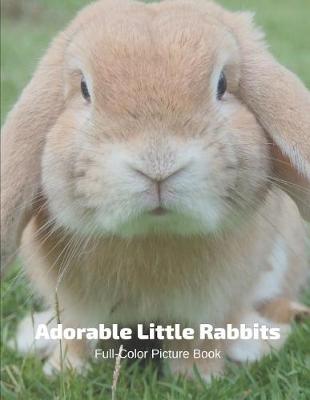 Book cover for Adorable Little Rabbits Full-Color Picture Book