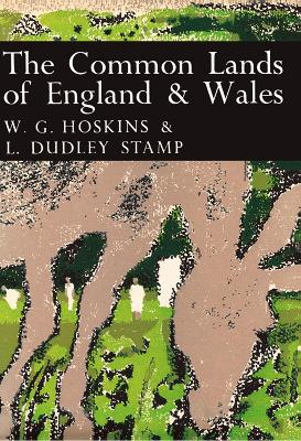 Book cover for The Common Lands of England and Wales