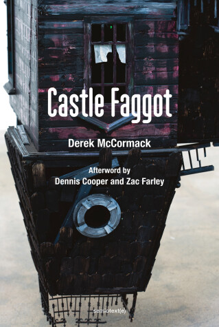 Book cover for Castle Faggot