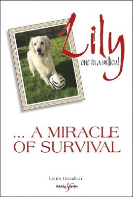 Book cover for Lily: one in a million