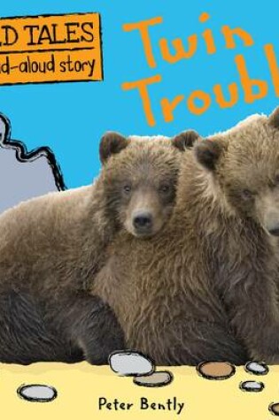 Cover of Twin Trouble