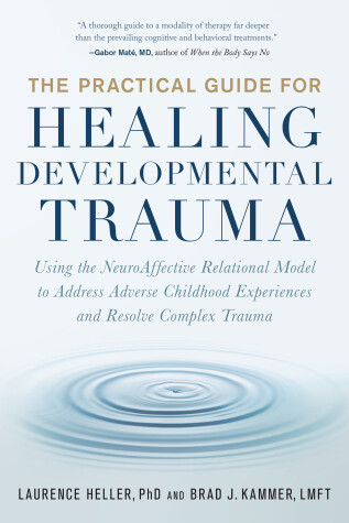 Cover of The Practical Guide for Healing Developmental Trauma