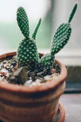 Book cover for A Cactus Plant in the Window Journal