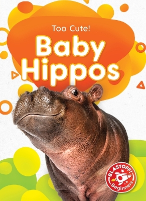 Book cover for Baby Hippos