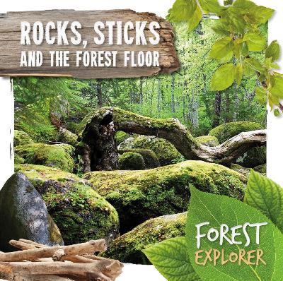 Book cover for Rocks, Sticks & the Forest Floor