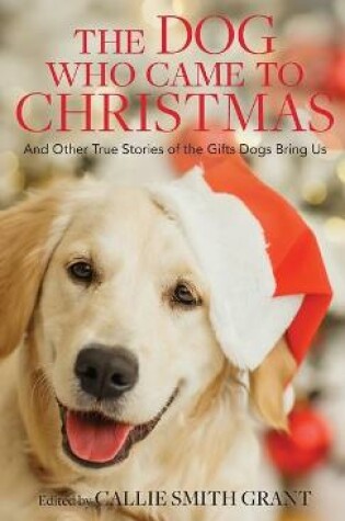 Cover of Dog Who Came to Christmas