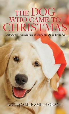 Book cover for Dog Who Came to Christmas