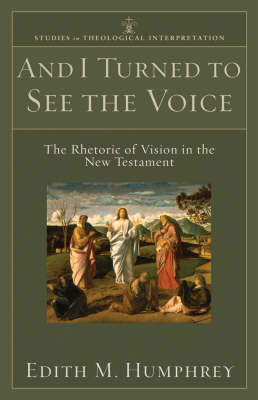 Book cover for And I Turned to See the Voice