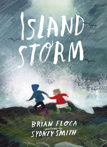 Book cover for Island Storm