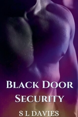 Cover of Black Door Security