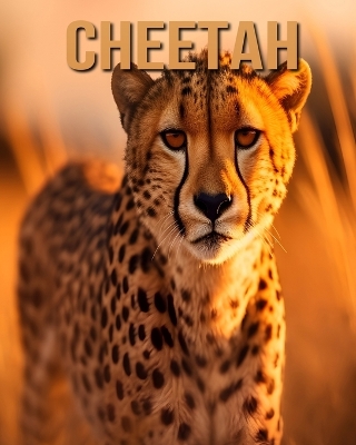 Book cover for Cheetah