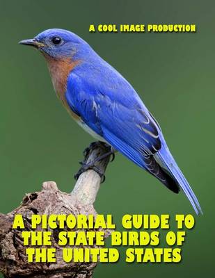 Cover of A Pictorial Guide to the State Birds of the United States