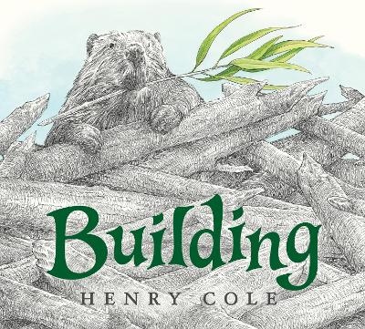 Book cover for Building