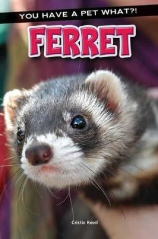 Cover of Ferret