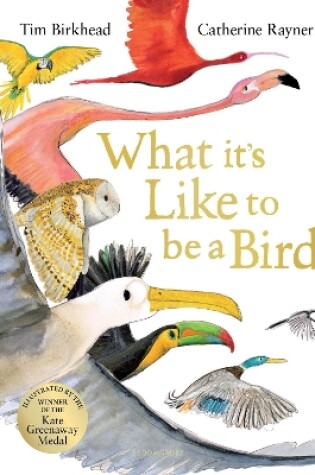 Cover of What it's Like to be a Bird