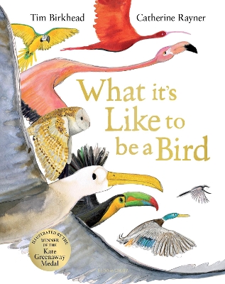 Book cover for What it's Like to be a Bird