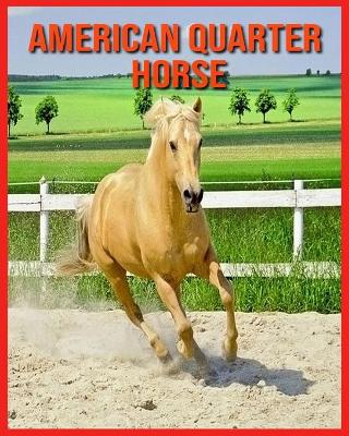 Book cover for American Quarter Horse