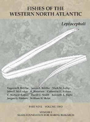 Book cover for Leptocephali